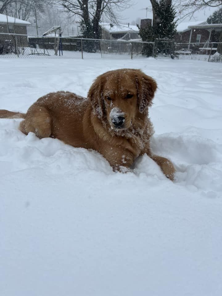 SNOW - MACKENIE SIBLEY - 1-5-2025.jpg